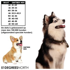 51degrees north halsbanden