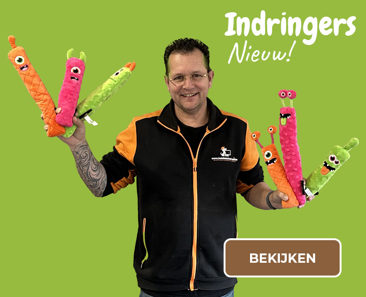 sinterklaas pakketten